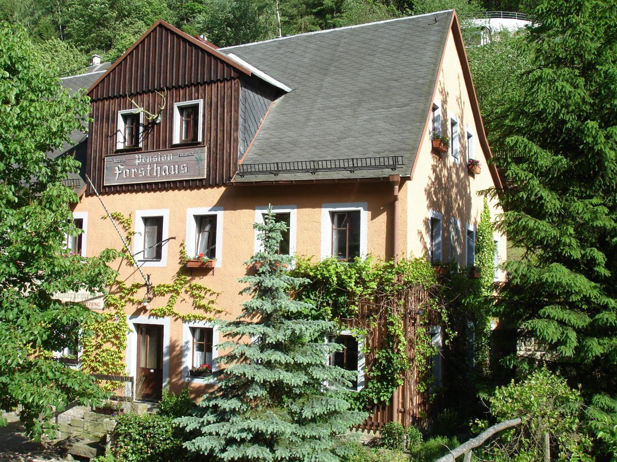 Das Forsthaus Hotelapartments Bad Schandau Εξωτερικό φωτογραφία